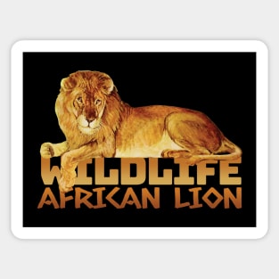 Wildlife African Lion Sticker